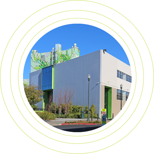life sciences cluster